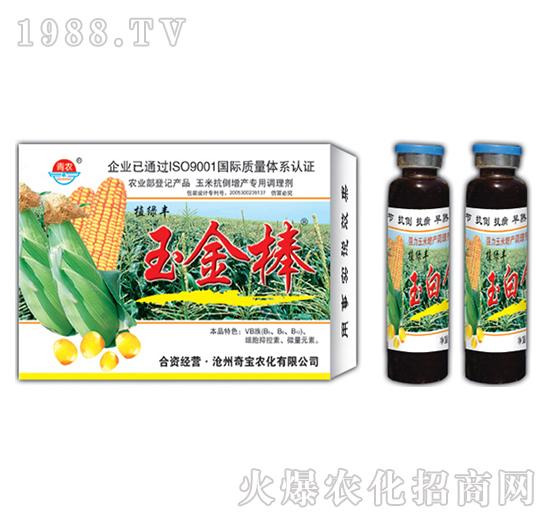 22g����-�挚�r��