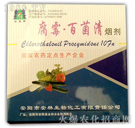 10%��ù�پ���-����