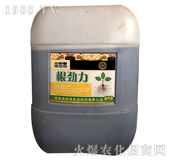 ������-�µص�