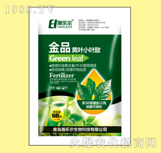 金品黃葉小葉敵-瀚樂爾