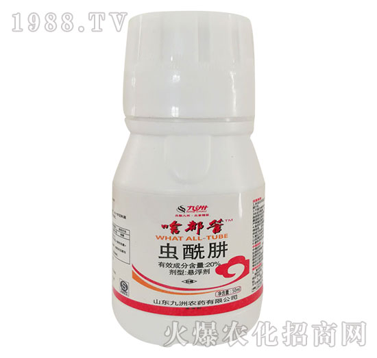 20%�x����-ɶ����-�읙(r��n)����