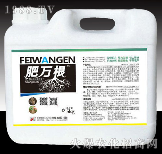 肥萬(wàn)根-昕爵