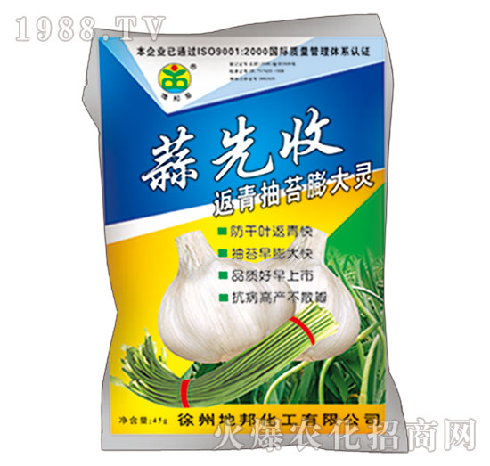 返青抽苔膨大劑-蒜先收-地邦泉