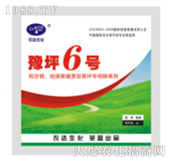 ԥƺ6̖-�r�_����