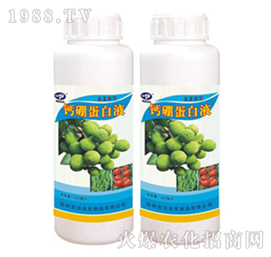 �}�𵰰�Һ-�r(n��ng)�_(d��)����