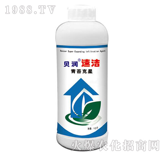 ��̦����-ؐ���ٝ�-ɭ��