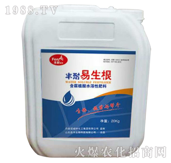 ������-�S��-ɭ��