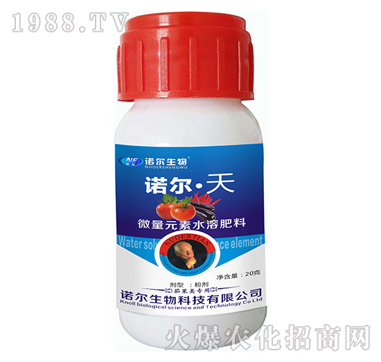 諾爾·天-諾爾生物