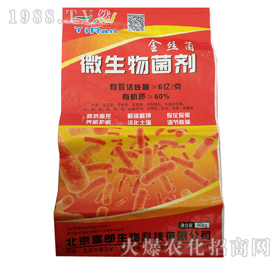 ΢�������-��z��-���r