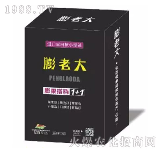 �����n1+1-���ϴ�-�|¡�r(n��ng)�I(y��)