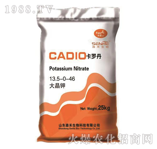 ���13.5-0-46-���_��-ɭ��