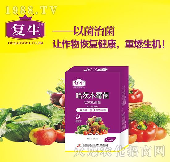 微生物菌劑-哈茨木霉菌-復生-昕爵