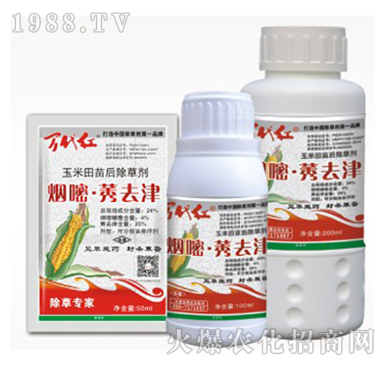 24%����.ݬȥ��-�f���t-�G��