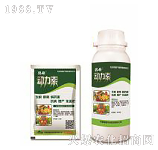 ������-�̸�-�ɭ�r�I(y��)