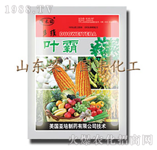 葉霸-梁山國(guó)豐