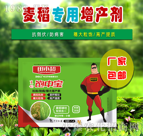 100g麥稻飽中寶-田小超