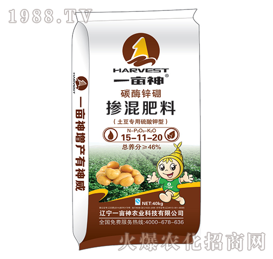 ����������̼ø�\�𓽻��15-11-20-һ����