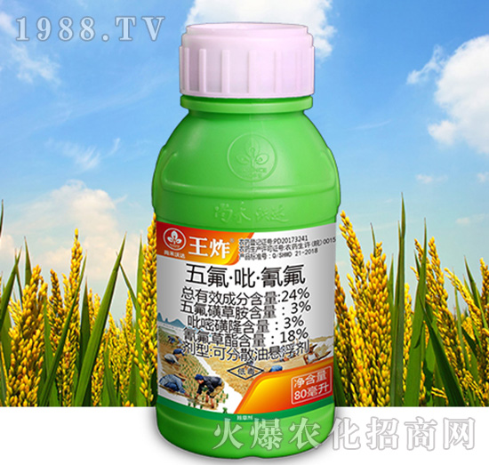 24%������������-��ը-�к����_(d��)