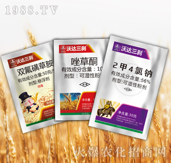 ���_(d��)���x�M��-�к����_(d��)