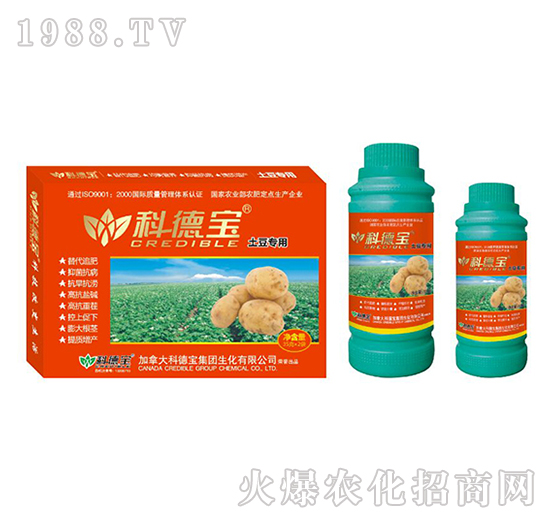 土豆專用營養(yǎng)增產(chǎn)調(diào)理劑-科德寶