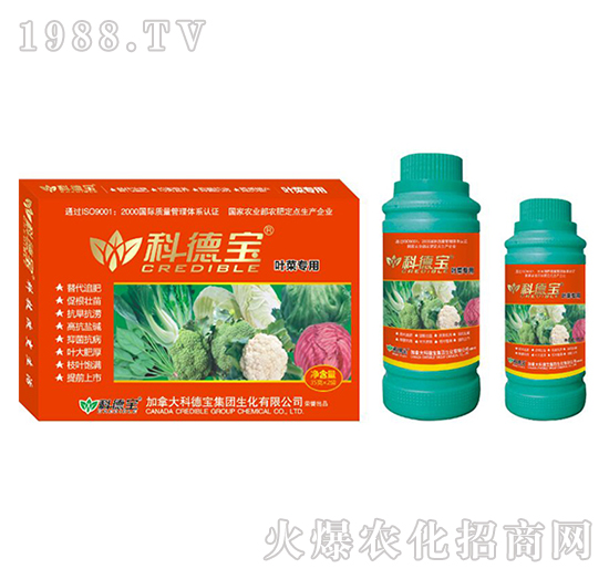 �~�ˌ��àI(y��ng)�B(y��ng)���a(ch��n)�{(di��o)�턩-�Ƶ�