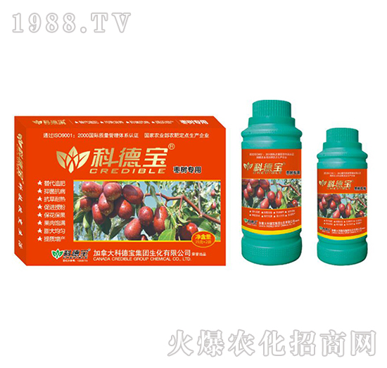 ���䌣�àI�B(y��ng)���a�{�턩-�Ƶ�