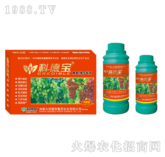 ���������ӌ��àI�B(y��ng)���a(ch��n)�{(di��o)�턩-�Ƶ�