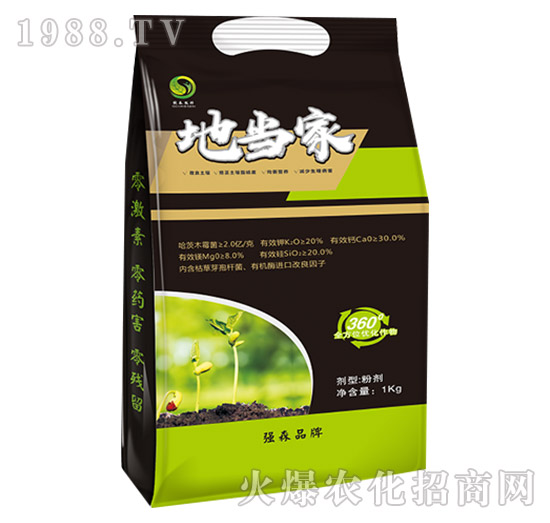 �خ���-��ɭ�r��