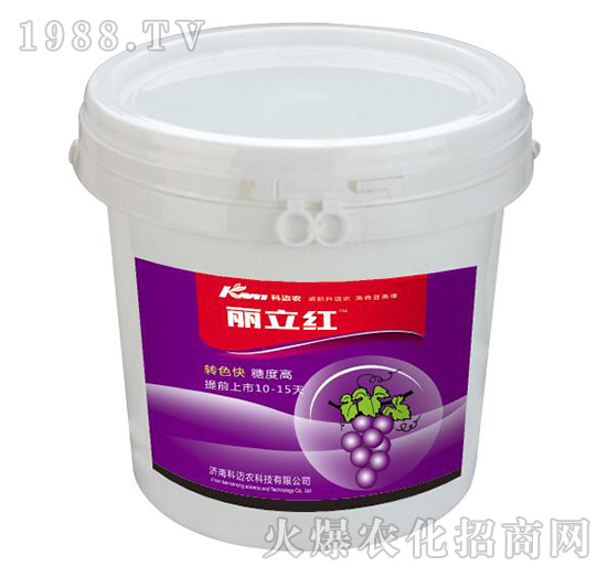 �����t-���~�r