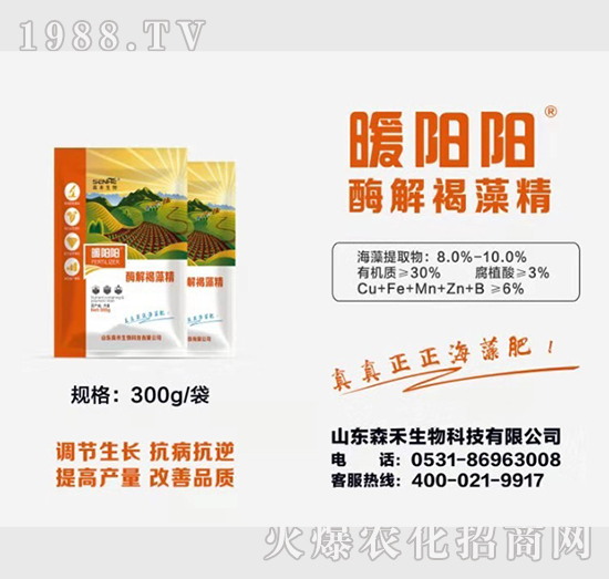 酶解褐藻精-暖陽陽-森禾生物