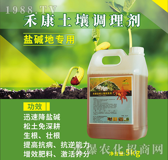 �̿��}�A����������-�w���G��