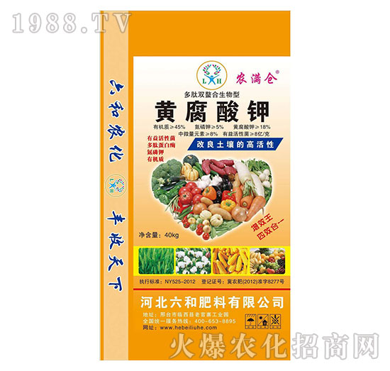 �����p�����������S�����-�r(n��ng)�M�}-�����r(n��ng)�I(y��)