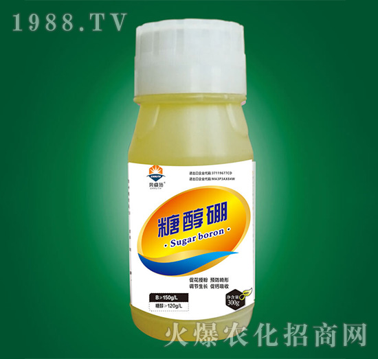 �Ǵ���-�W�ʩ