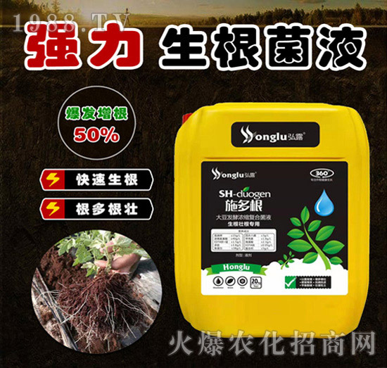 強力生根菌液-施多根-田小超