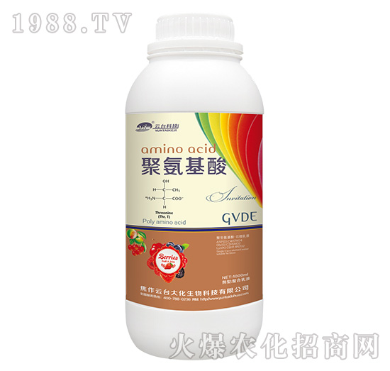 �۰�����-���_(t��i)��