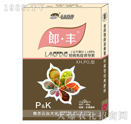 郎·豐-云臺大化