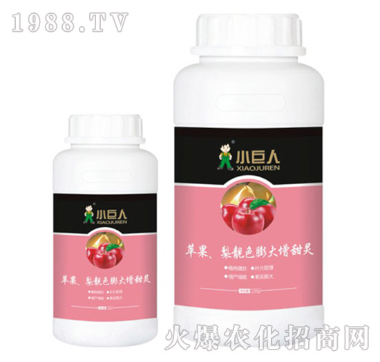 蘋果、梨靚色膨大增甜靈調(diào)節(jié)劑-小巨人