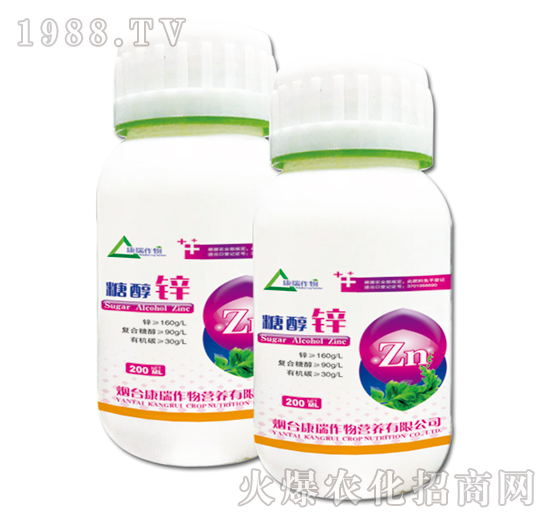 �Ǵ��\-��������