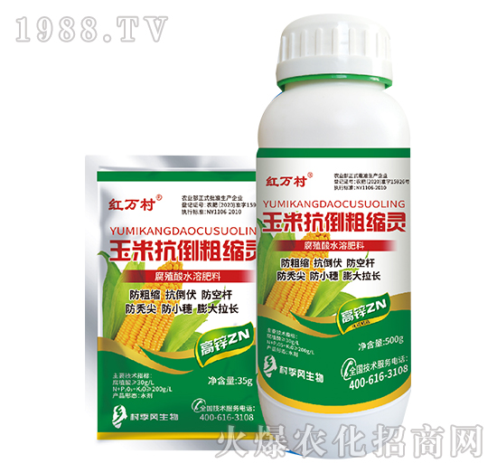 ���׿����ֿs�`-���˹����r��