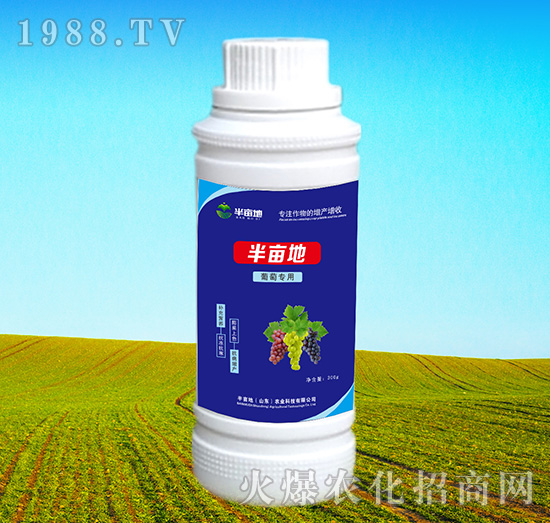 ���ь����~���-�뮀��