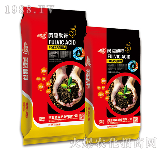 �S�����-���vɭ-�vɭ�ʘI(y��)