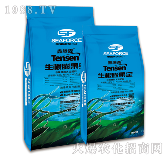 ���������-���vɭ-�vɭ�ʘI(y��)