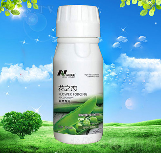 ��֮���|�����ǌ���-�Z���S