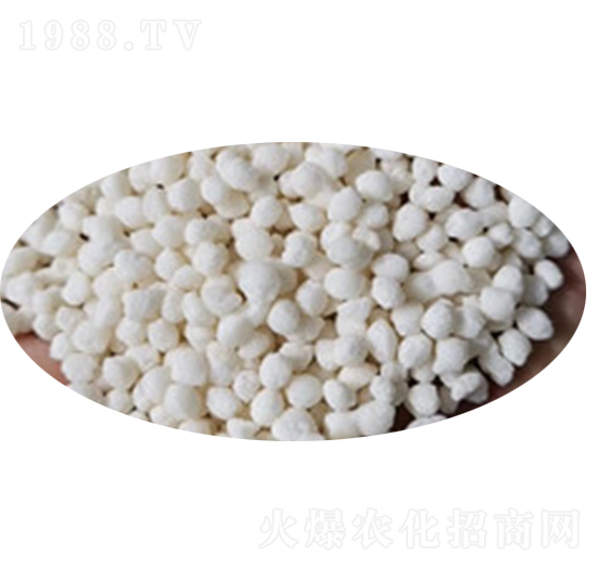 擠壓烘干拋圓氯化銨顆粒-齊施