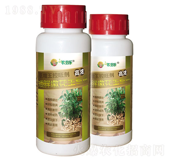 С�ֶջ�����(zhu��n)��-������������-�r(n��ng)�̘�(l��)