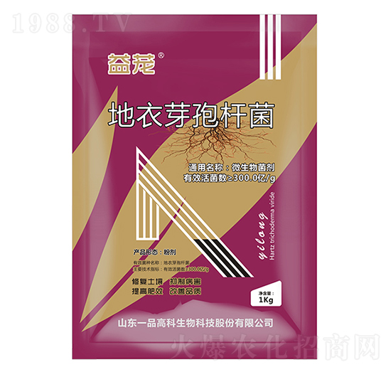 ����ѿ�ߗU��-���d-���r(n��ng)˼�_(d��)