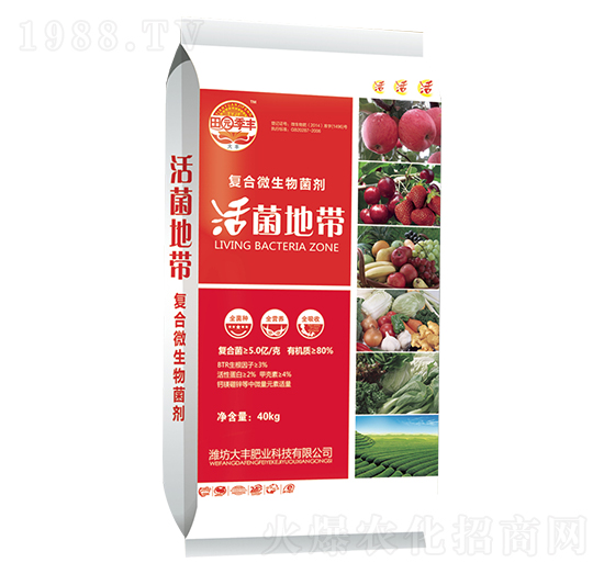 ��(f��)��΢�������-����؎�-��@���S-���S�ʘI(y��)