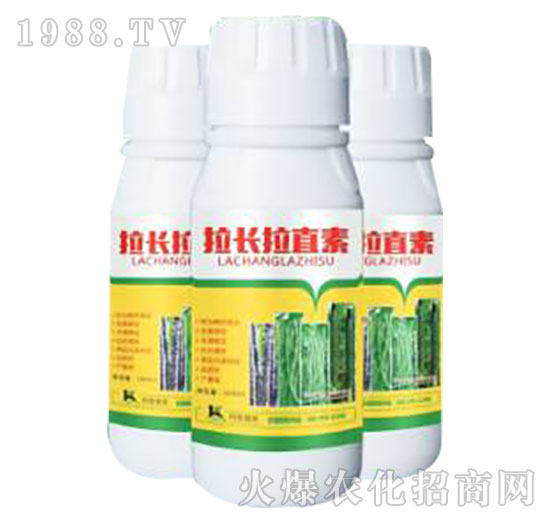 ���L(zh��ng)��ֱ��-����ֲ��