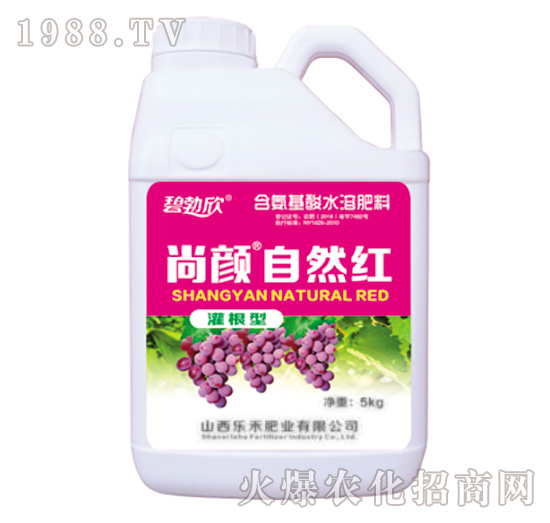 ���?zh��n)�Ȼ�t-��(l��)��