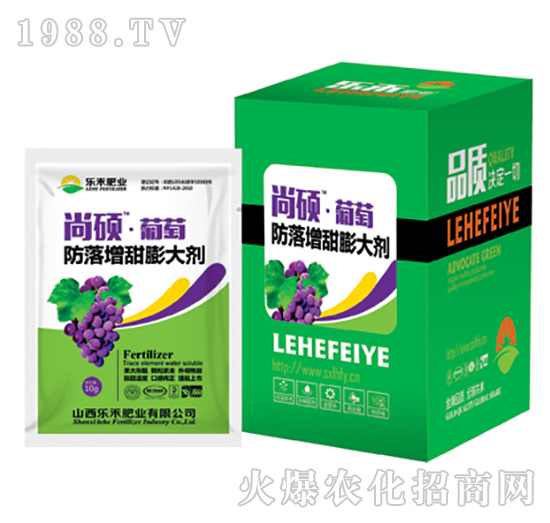 �����������-����